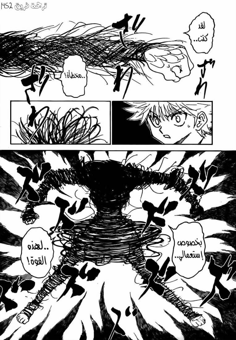 Hunter x Hunter: Chapter 293 - Page 14