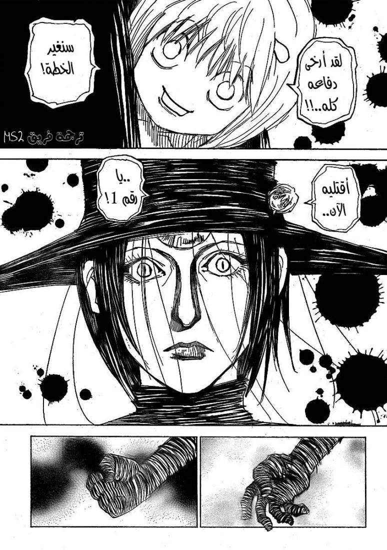 Hunter x Hunter: Chapter 294 - Page 9