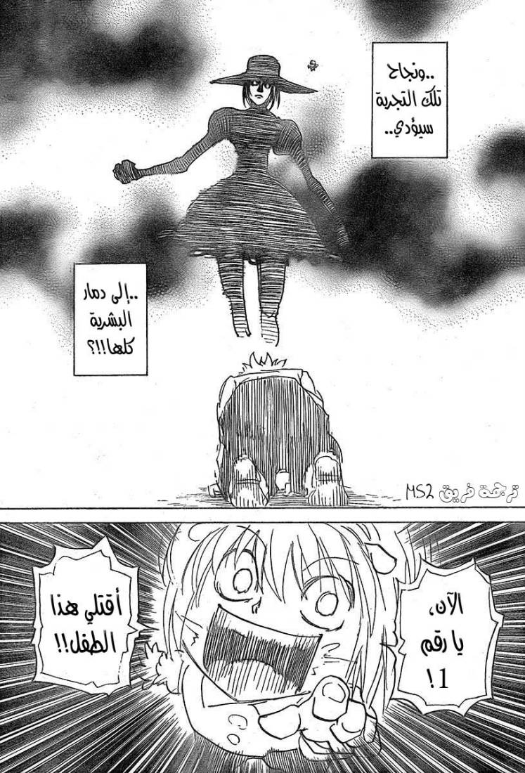 Hunter x Hunter: Chapter 294 - Page 13