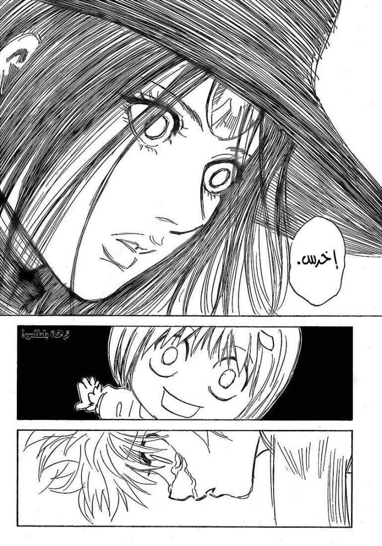 Hunter x Hunter: Chapter 294 - Page 14