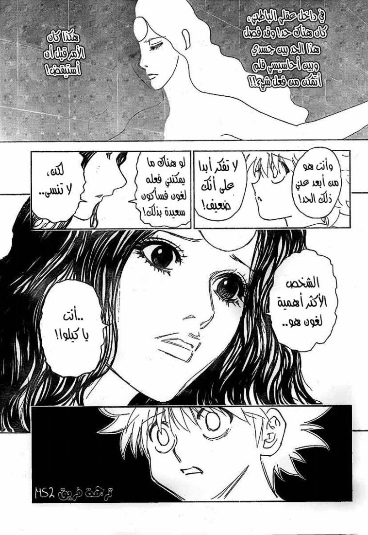 Hunter x Hunter: Chapter 294 - Page 17