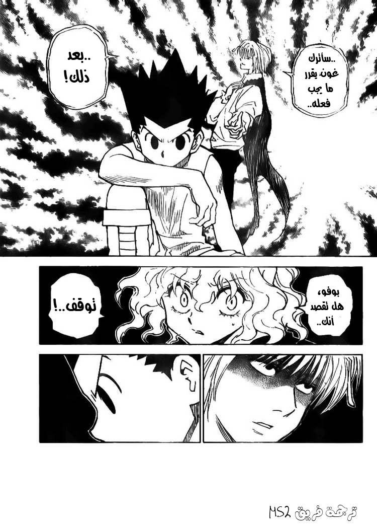 Hunter x Hunter: Chapter 295 - Page 8