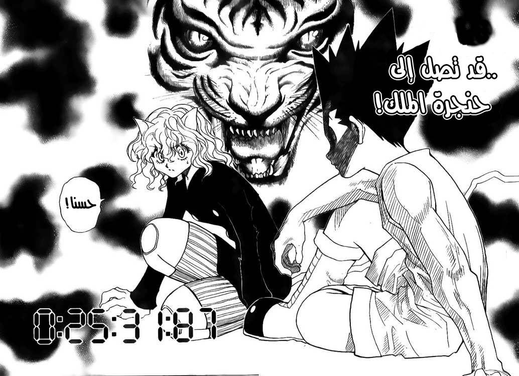 Hunter x Hunter: Chapter 295 - Page 13