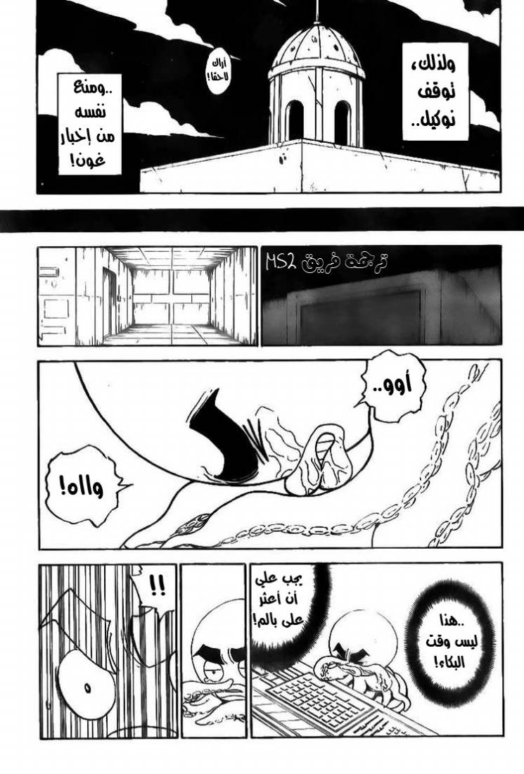 Hunter x Hunter: Chapter 295 - Page 17