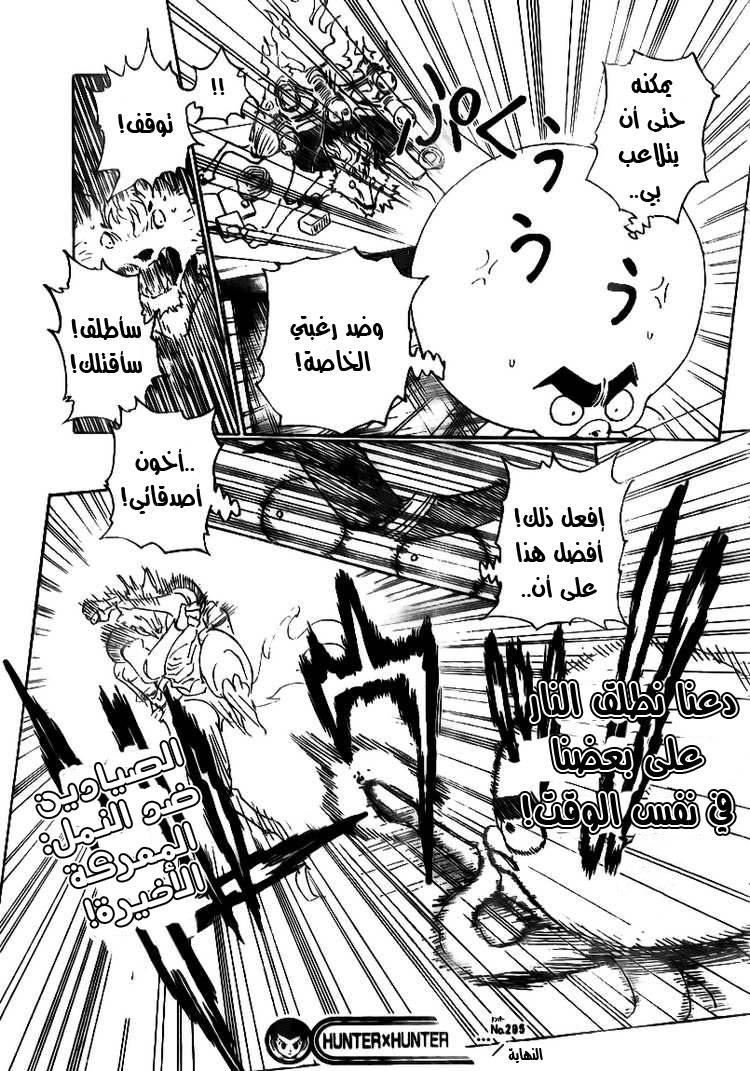 Hunter x Hunter: Chapter 295 - Page 19