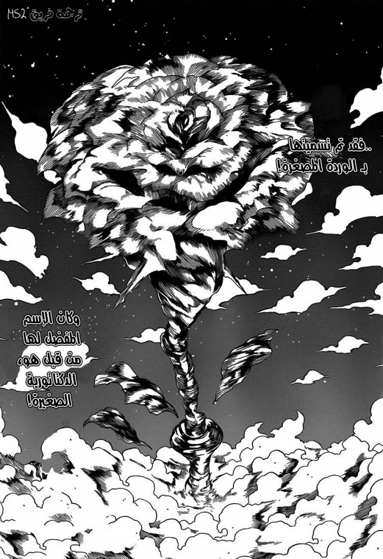 Hunter x Hunter: Chapter 298 - Page 8