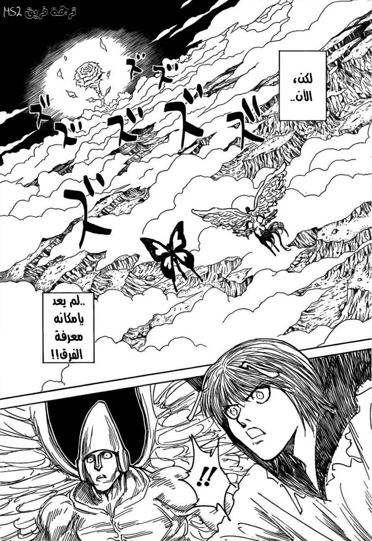 Hunter x Hunter: Chapter 298 - Page 10