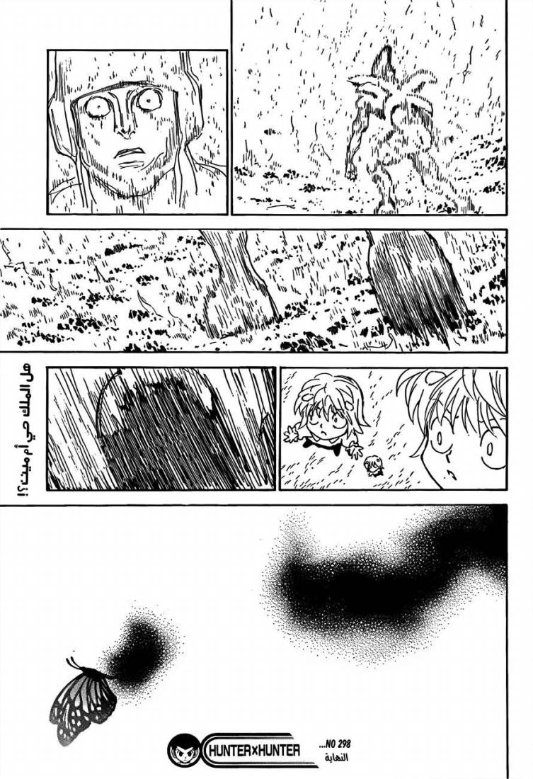 Hunter x Hunter: Chapter 298 - Page 18