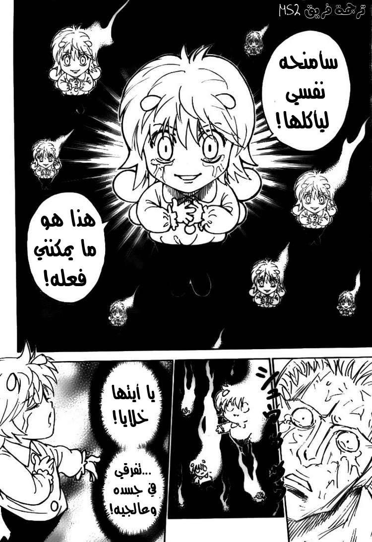 Hunter x Hunter: Chapter 299 - Page 5