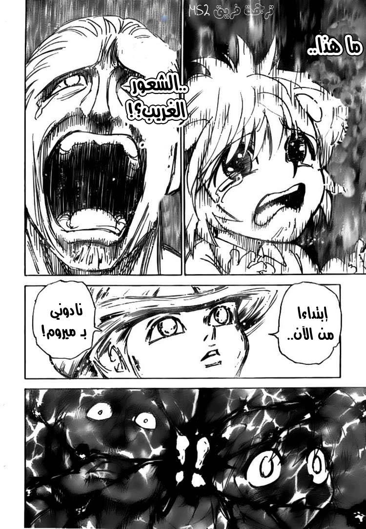 Hunter x Hunter: Chapter 299 - Page 14