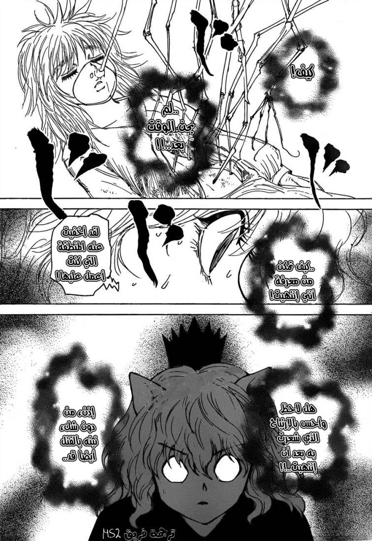 Hunter x Hunter: Chapter 300 - Page 9