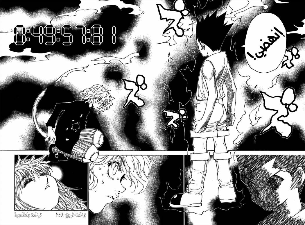 Hunter x Hunter: Chapter 300 - Page 10