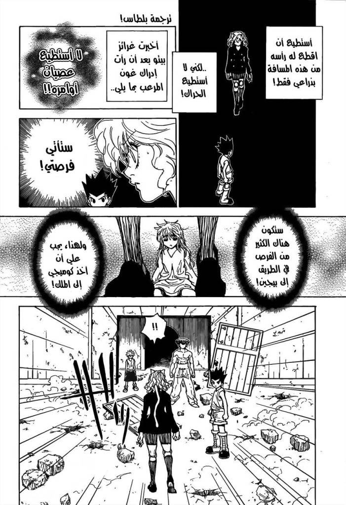 Hunter x Hunter: Chapter 300 - Page 13