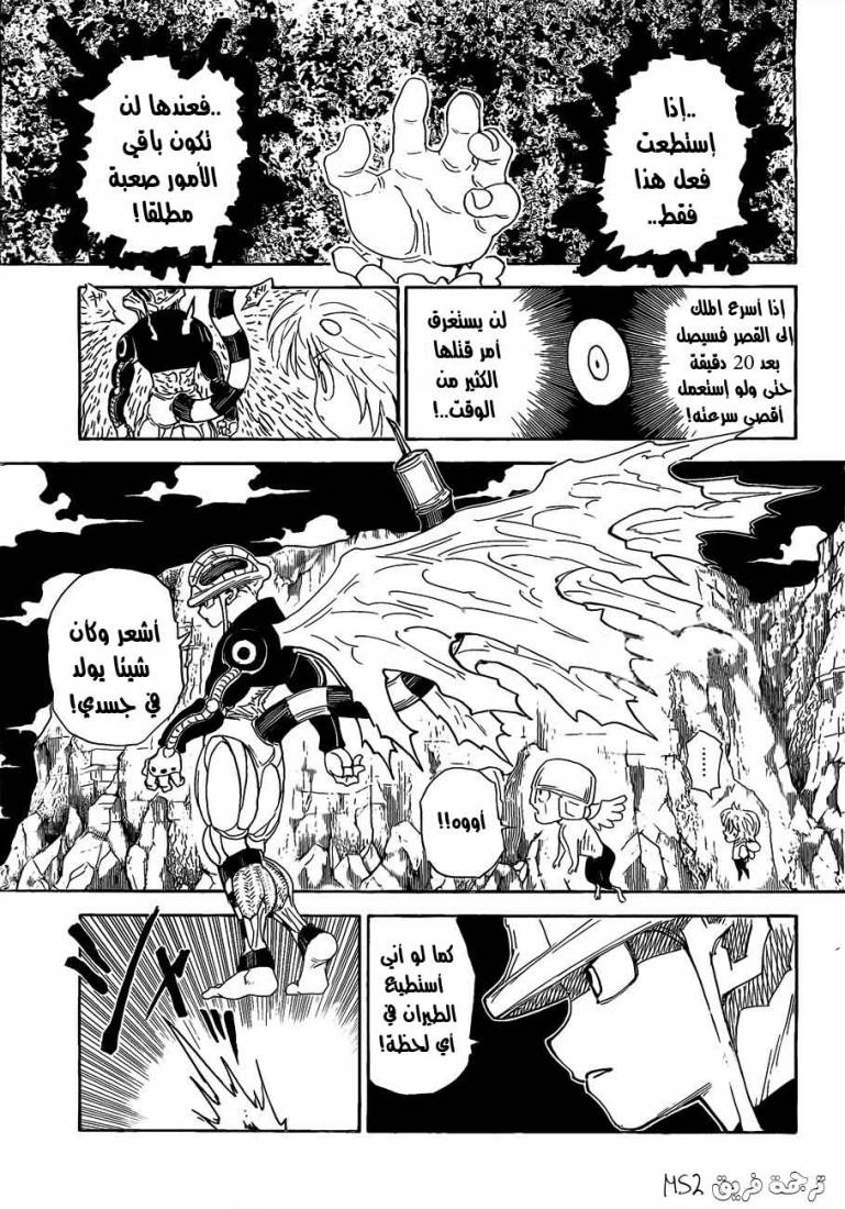 Hunter x Hunter: Chapter 301 - Page 11