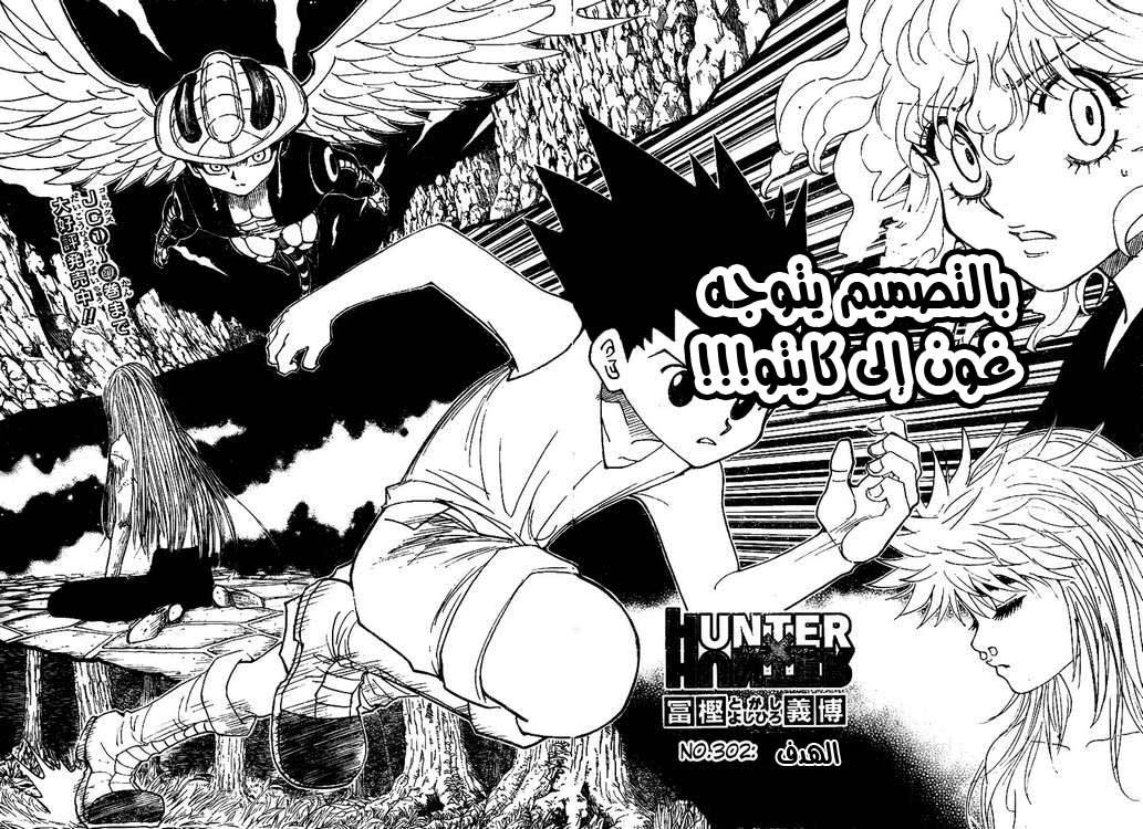 Hunter x Hunter: Chapter 302 - Page 2