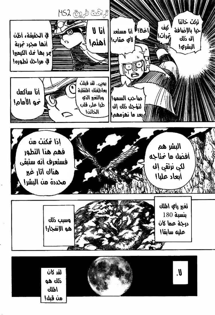 Hunter x Hunter: Chapter 302 - Page 12