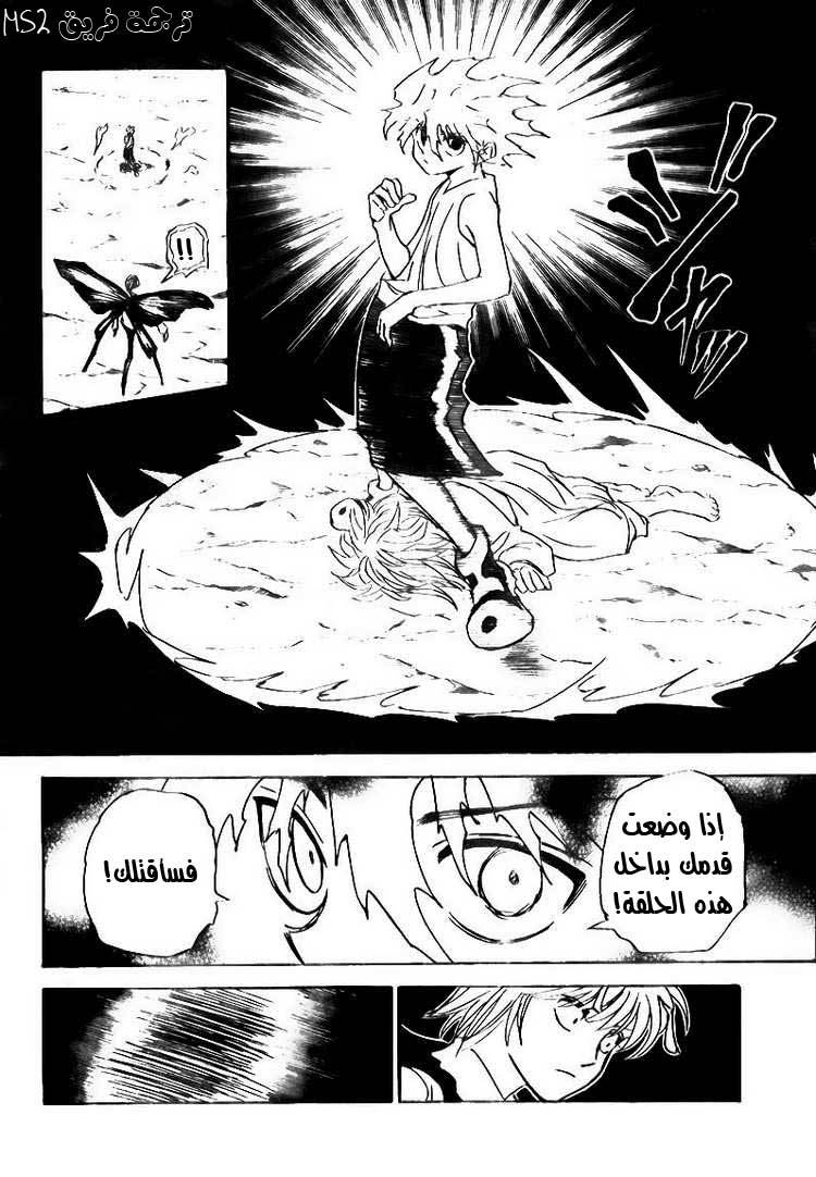 Hunter x Hunter: Chapter 303 - Page 10