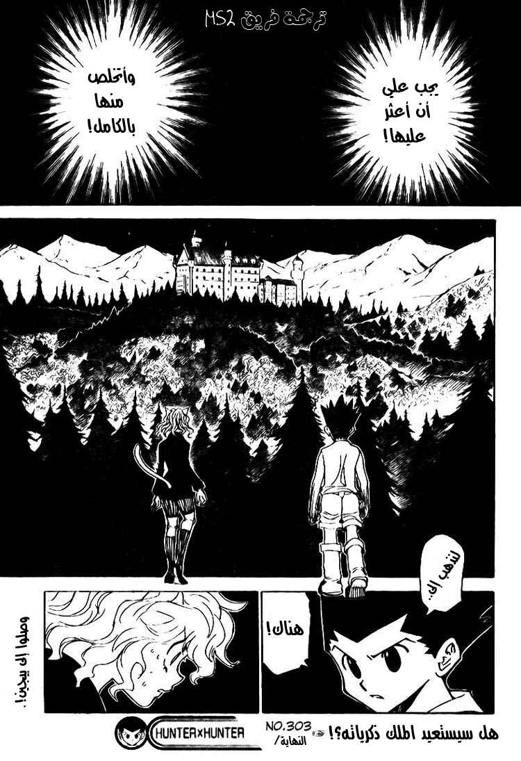 Hunter x Hunter: Chapter 303 - Page 18