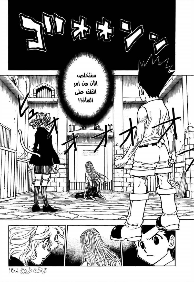 Hunter x Hunter: Chapter 304 - Page 11