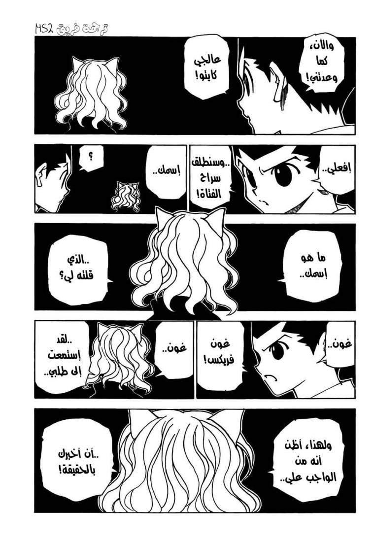 Hunter x Hunter: Chapter 304 - Page 12