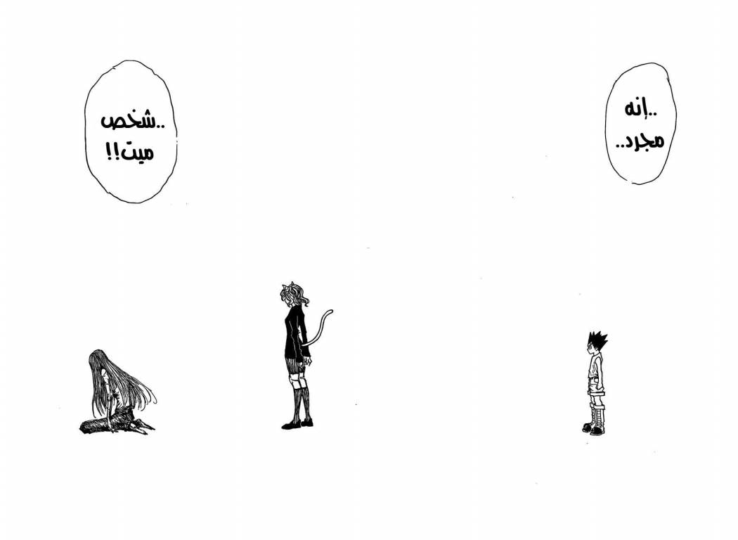 Hunter x Hunter: Chapter 304 - Page 13