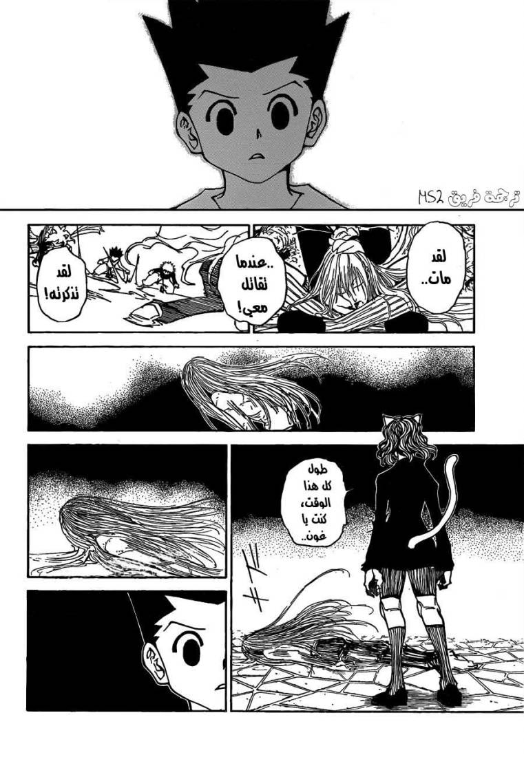 Hunter x Hunter: Chapter 304 - Page 14