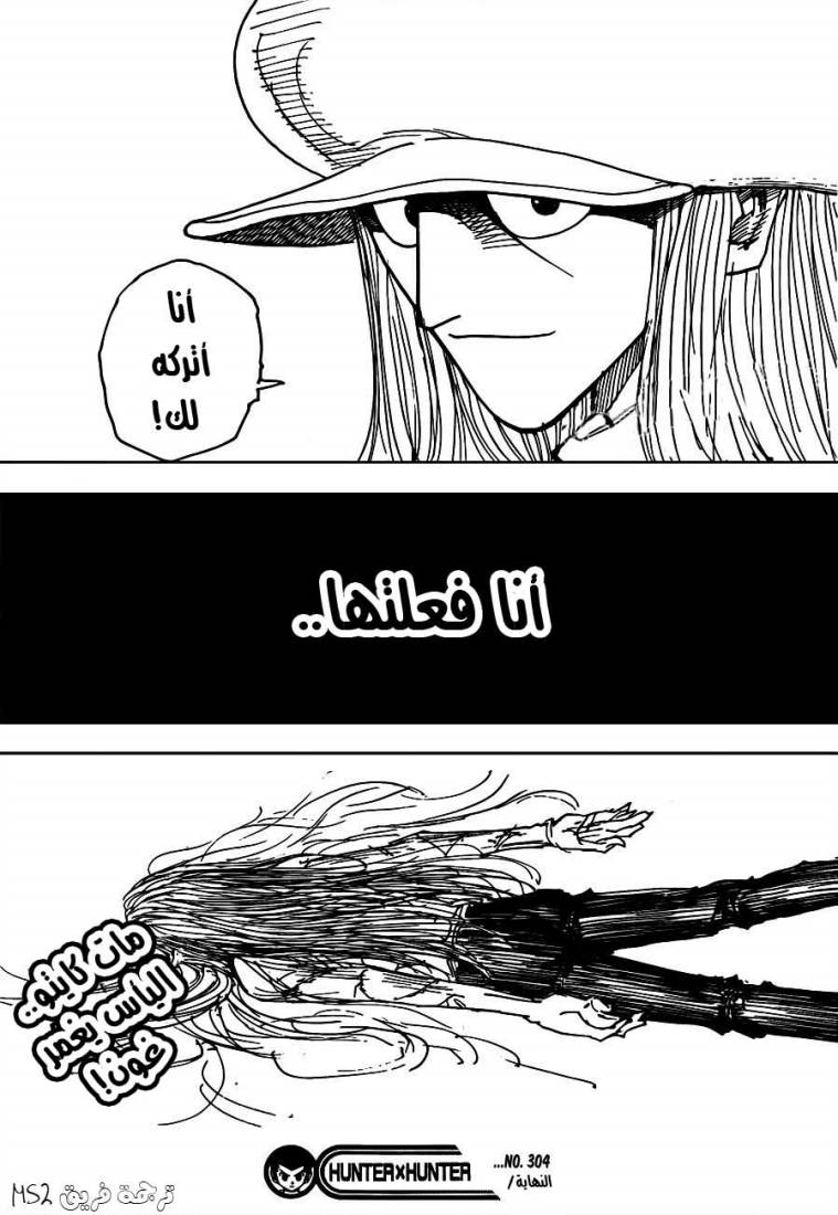 Hunter x Hunter: Chapter 304 - Page 17