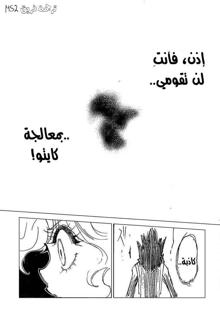 Hunter x Hunter: Chapter 305 - Page 11