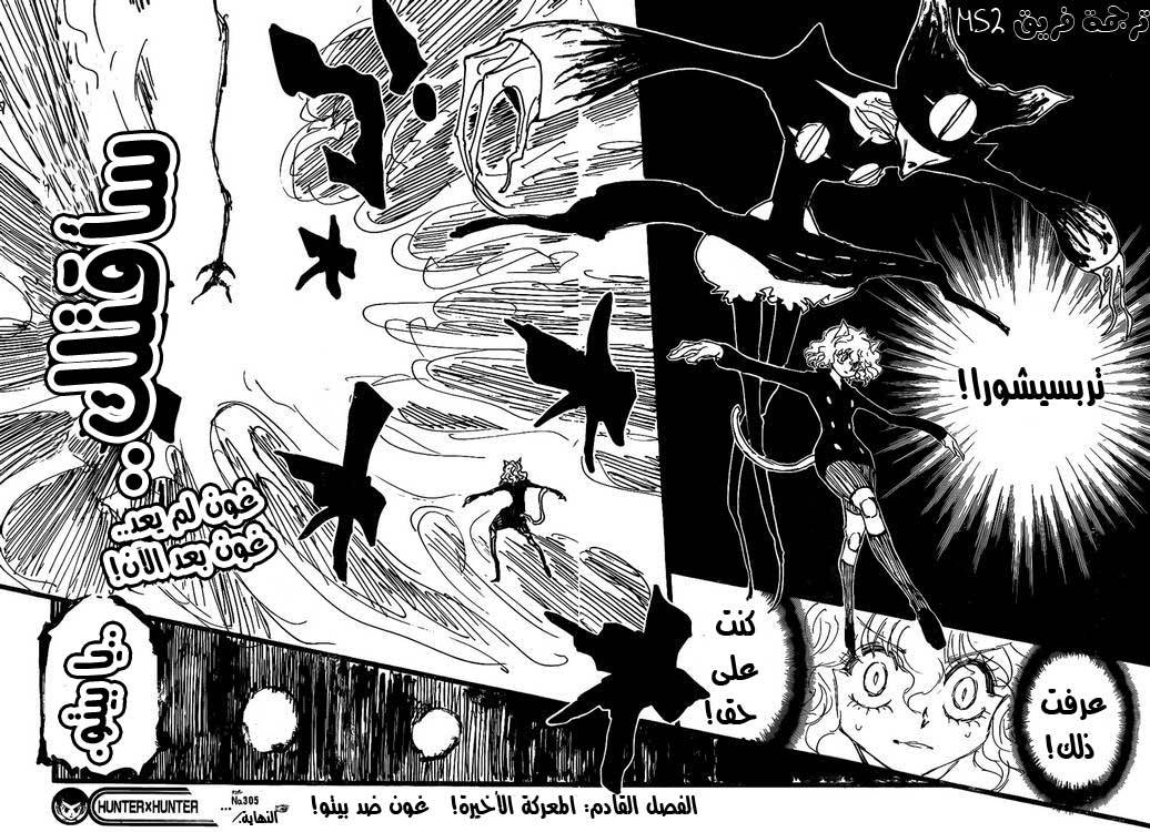 Hunter x Hunter: Chapter 305 - Page 15