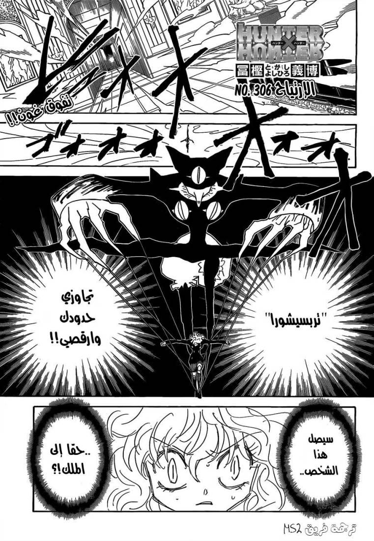 Hunter x Hunter: Chapter 306 - Page 1