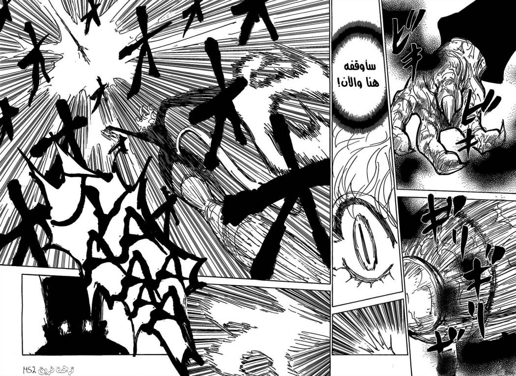 Hunter x Hunter: Chapter 306 - Page 2