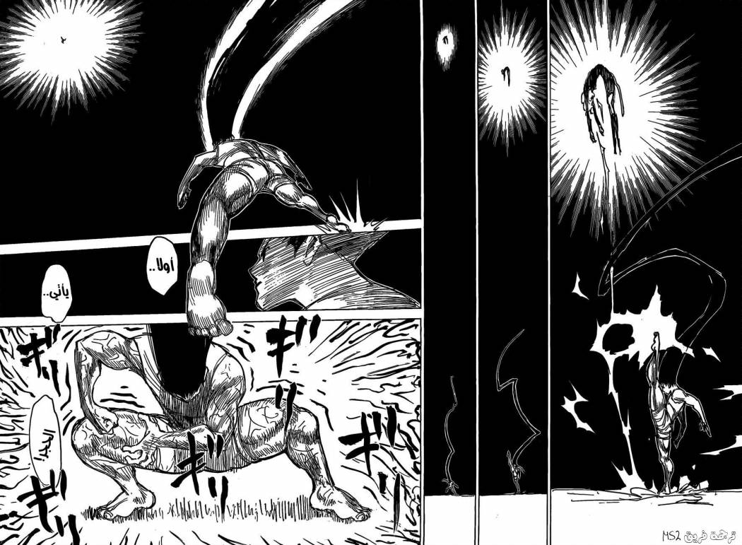 Hunter x Hunter: Chapter 306 - Page 9