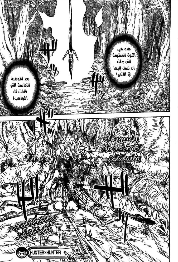 Hunter x Hunter: Chapter 306 - Page 15