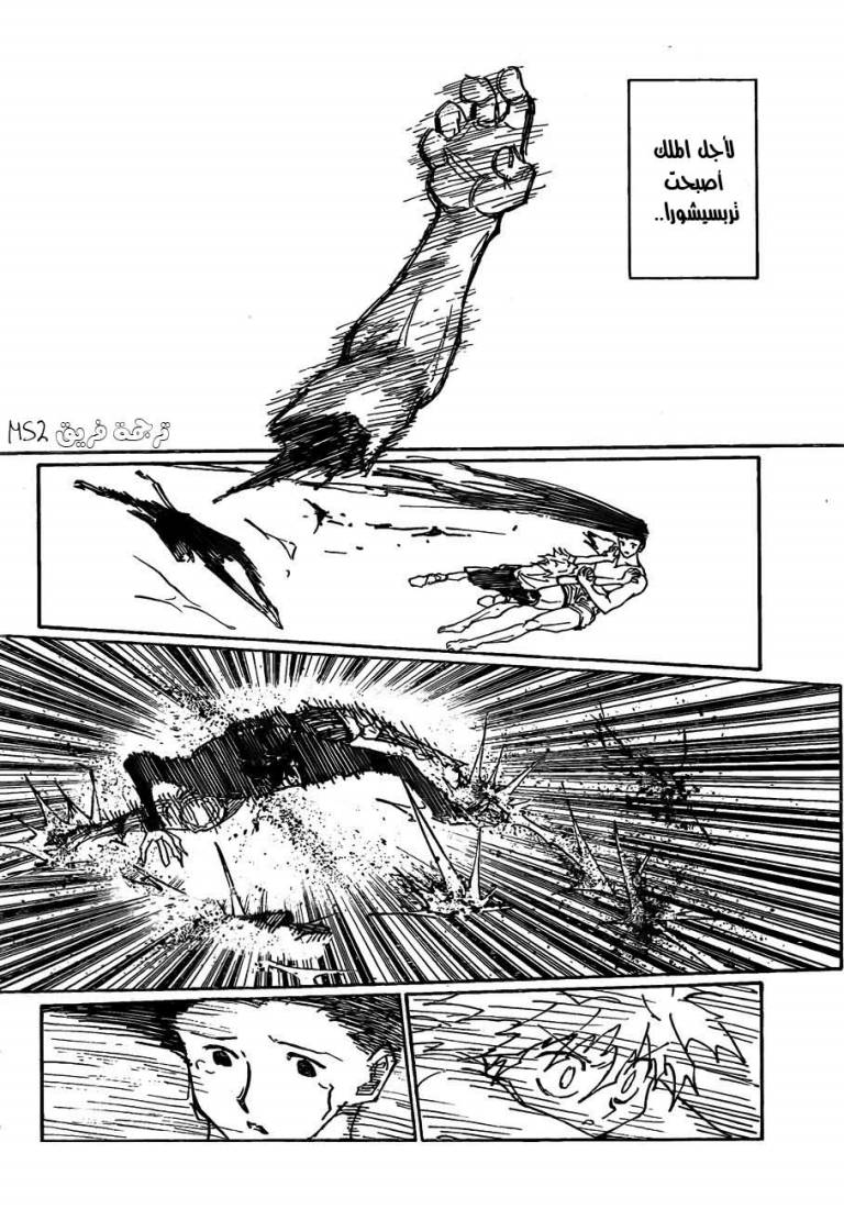 Hunter x Hunter: Chapter 307 - Page 8