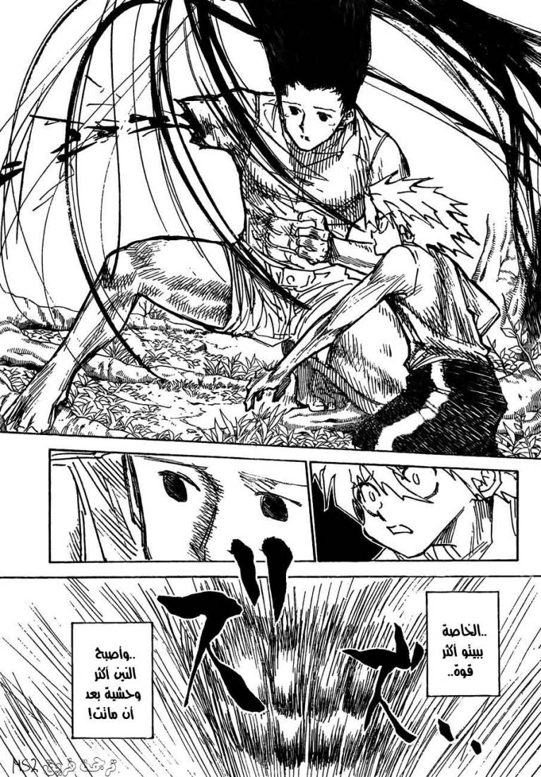 Hunter x Hunter: Chapter 307 - Page 9