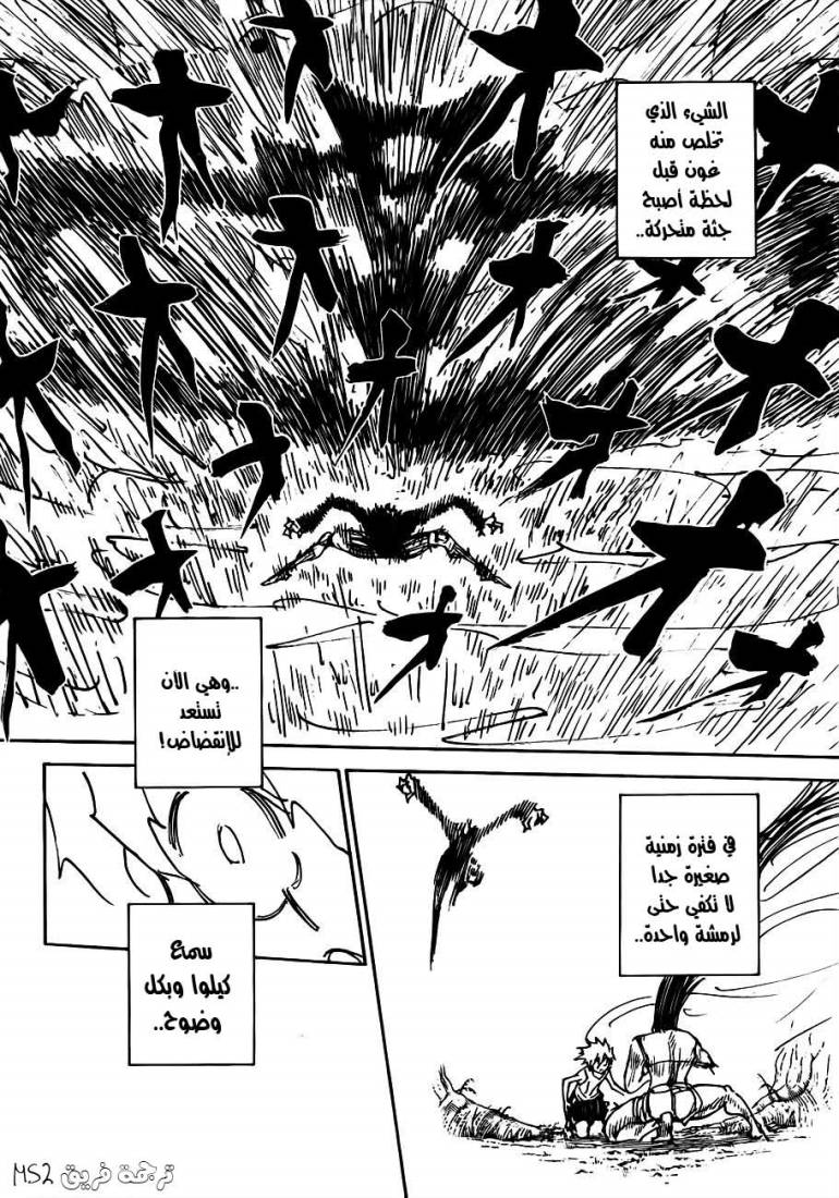 Hunter x Hunter: Chapter 307 - Page 10