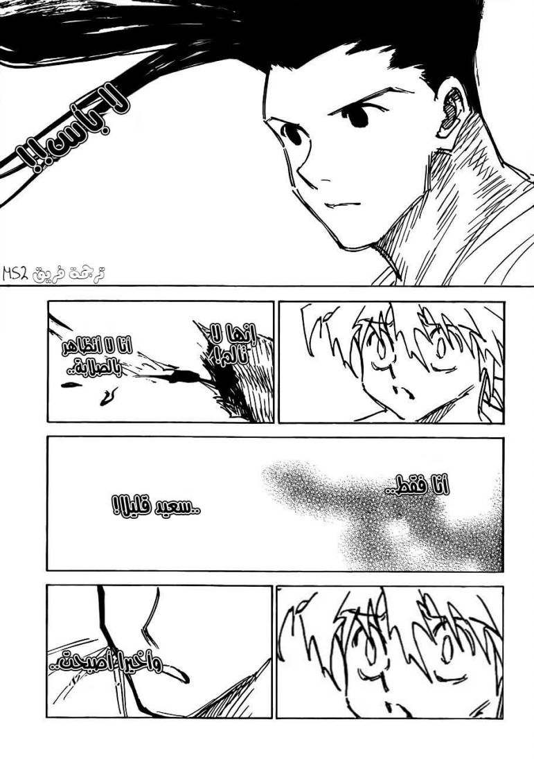 Hunter x Hunter: Chapter 307 - Page 11