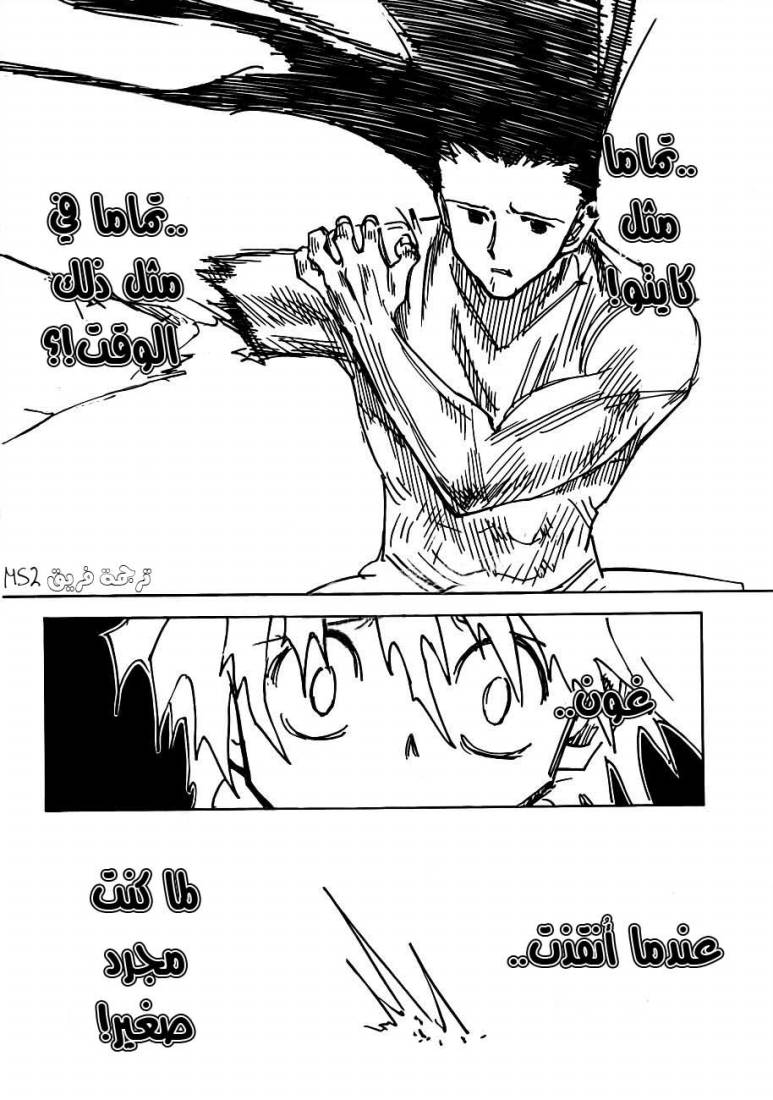 Hunter x Hunter: Chapter 307 - Page 12