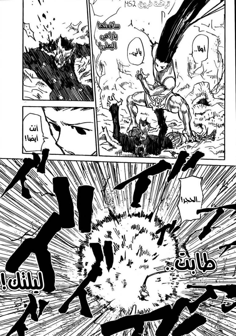 Hunter x Hunter: Chapter 307 - Page 15