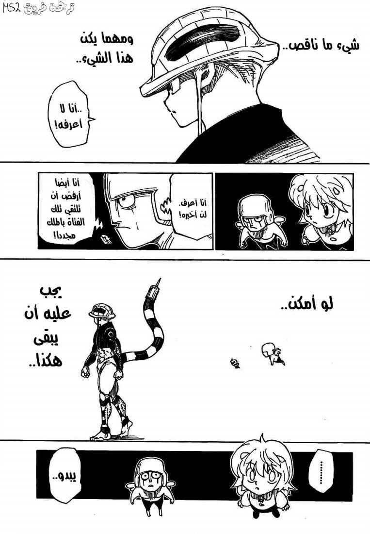 Hunter x Hunter: Chapter 308 - Page 3