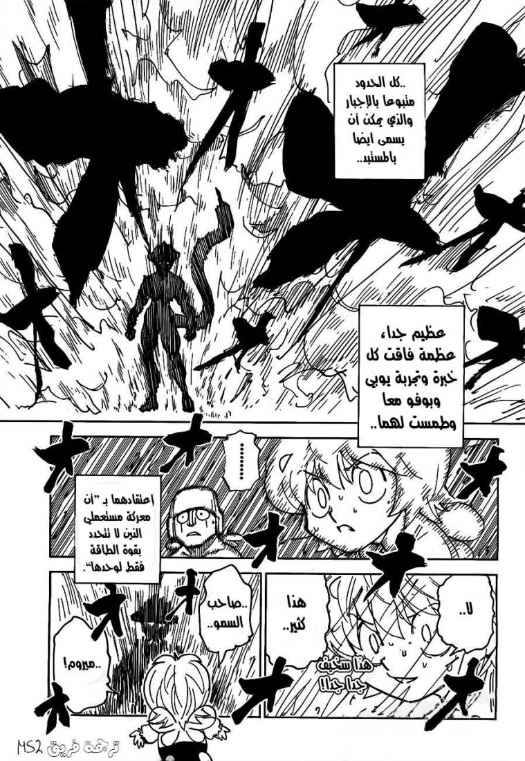 Hunter x Hunter: Chapter 308 - Page 9