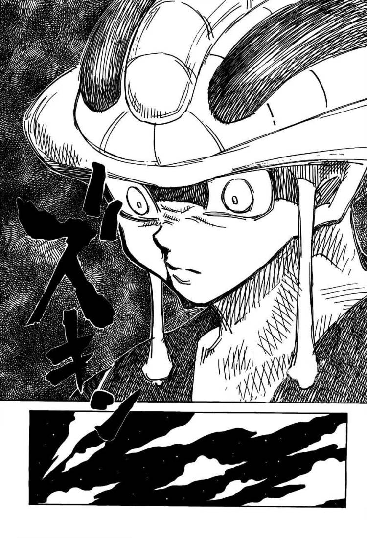 Hunter x Hunter: Chapter 310 - Page 13