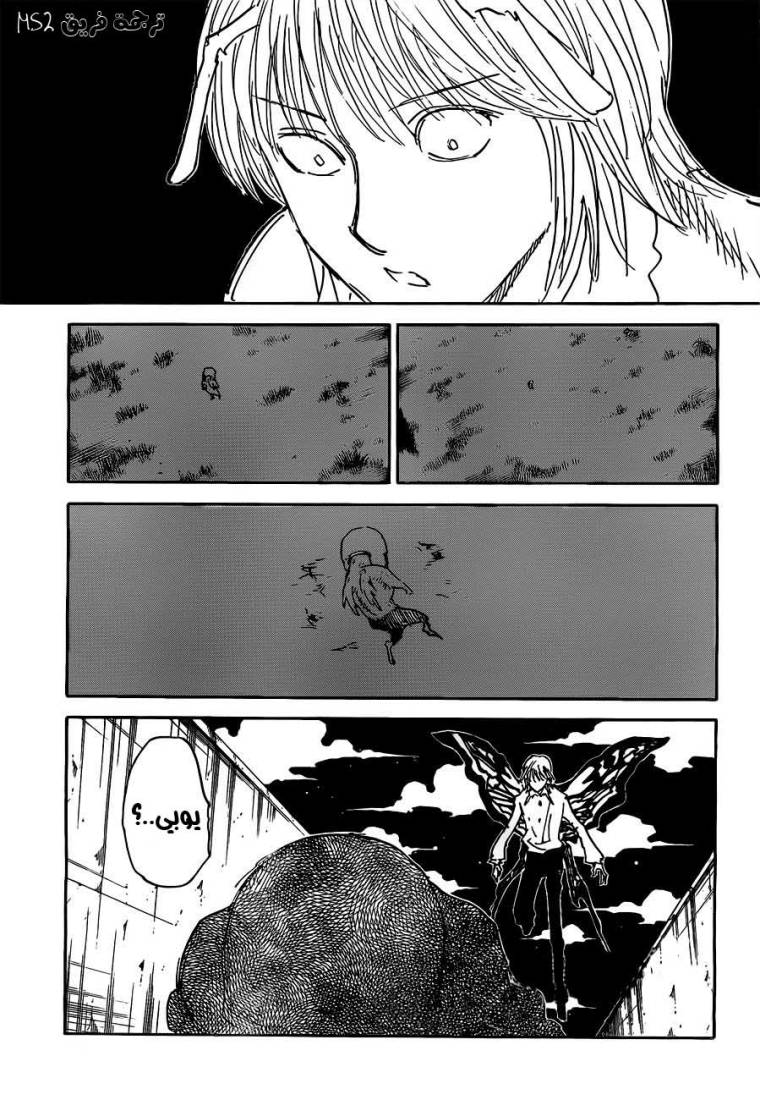 Hunter x Hunter: Chapter 310 - Page 15