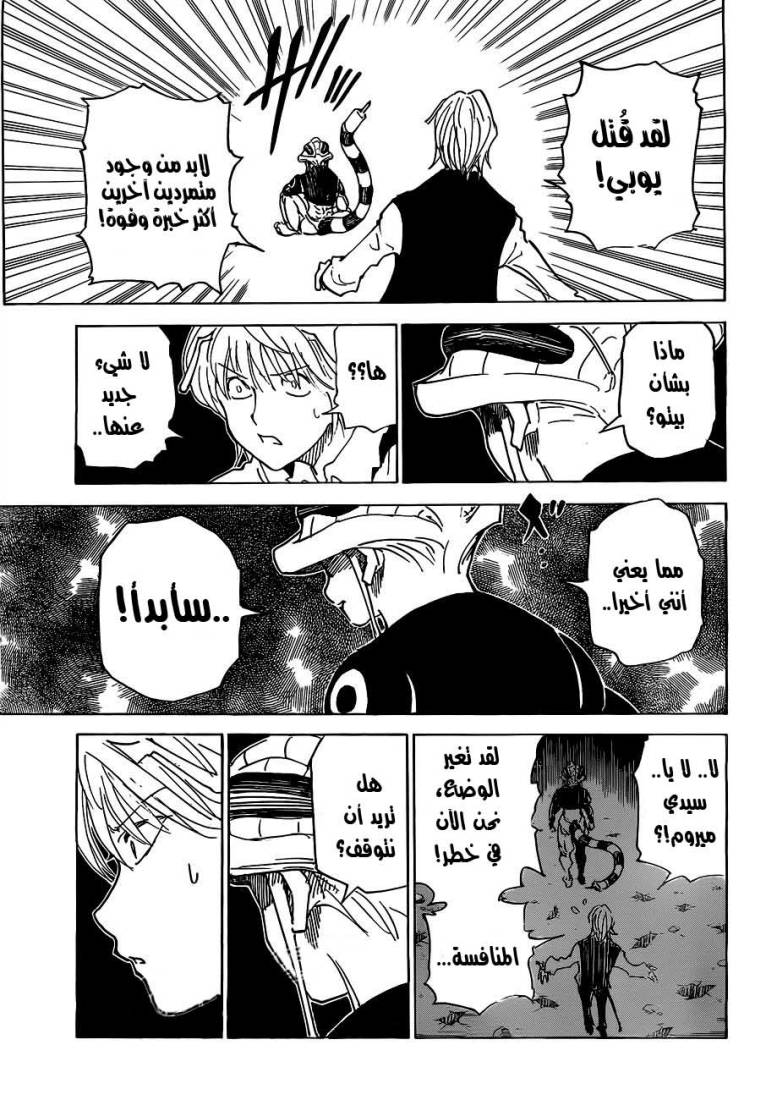 Hunter x Hunter: Chapter 310 - Page 17