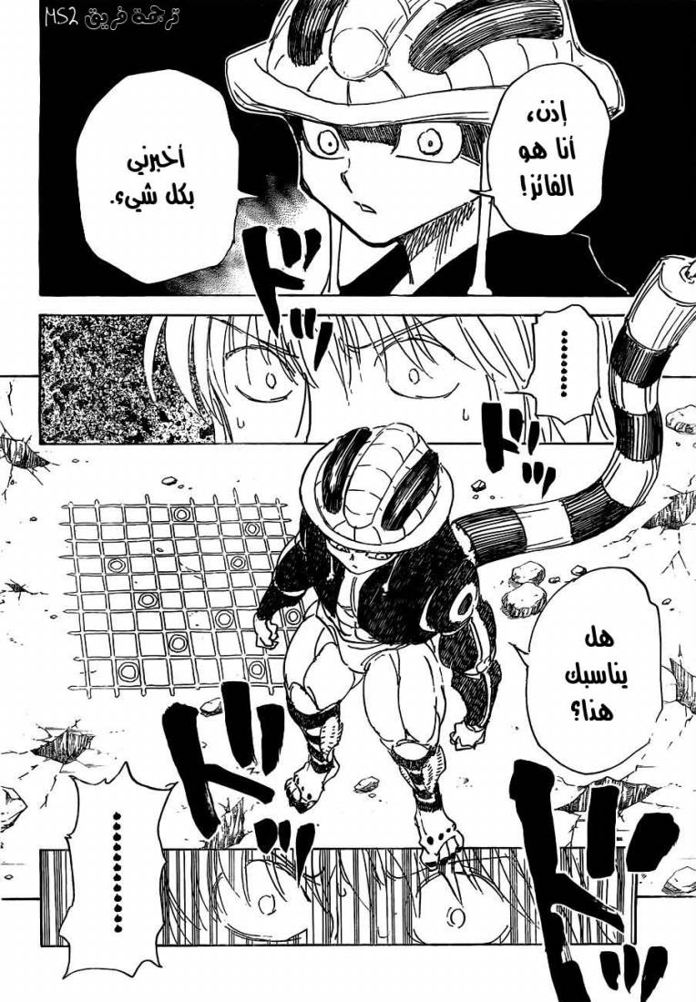 Hunter x Hunter: Chapter 310 - Page 18