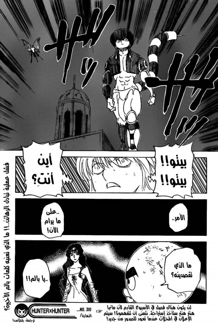 Hunter x Hunter: Chapter 310 - Page 19