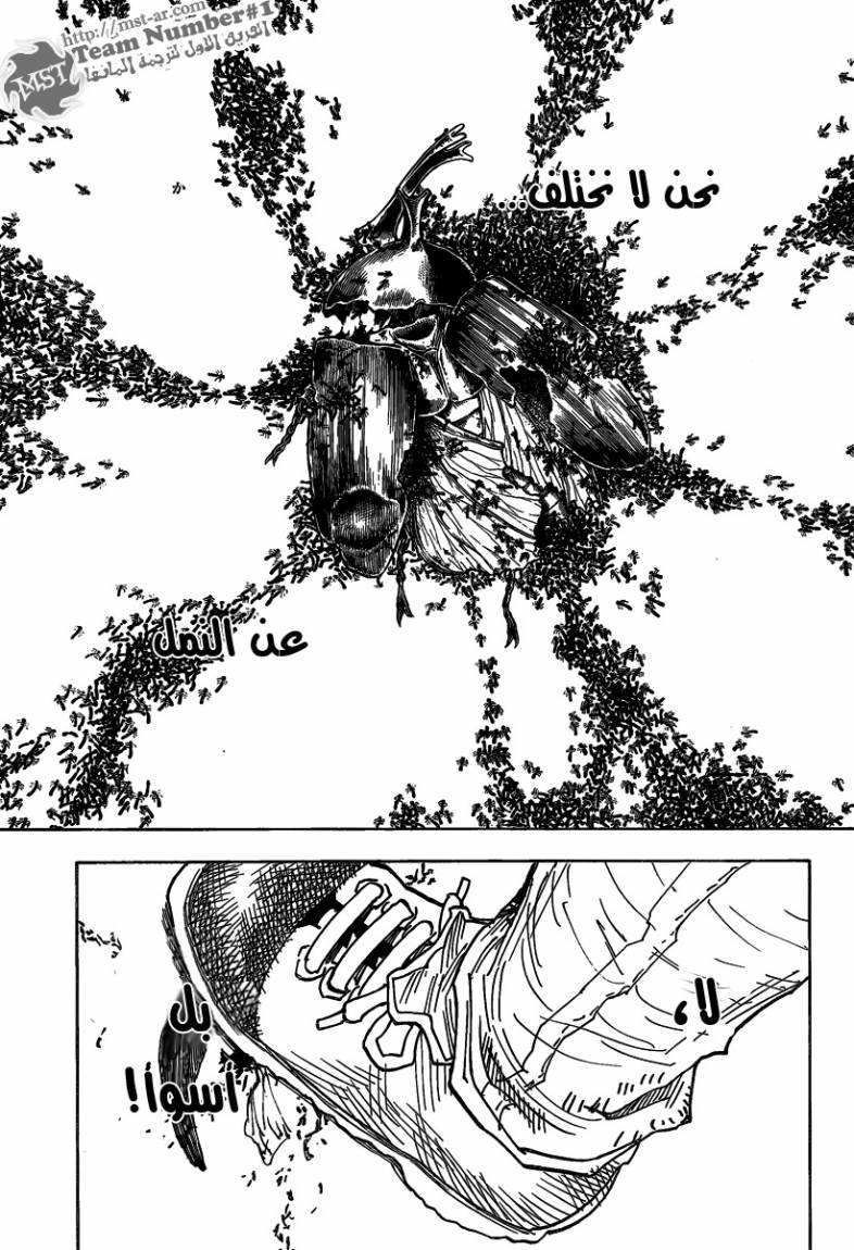 Hunter x Hunter: Chapter 311 - Page 11