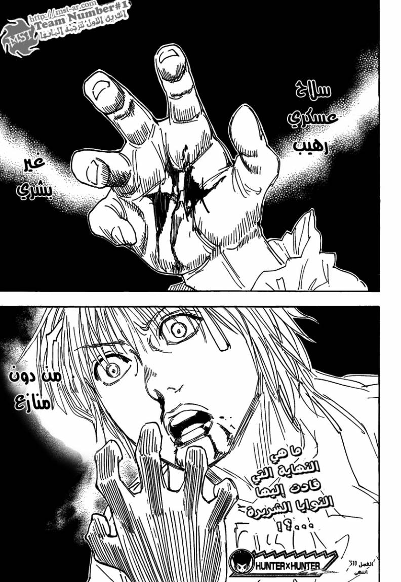 Hunter x Hunter: Chapter 311 - Page 17