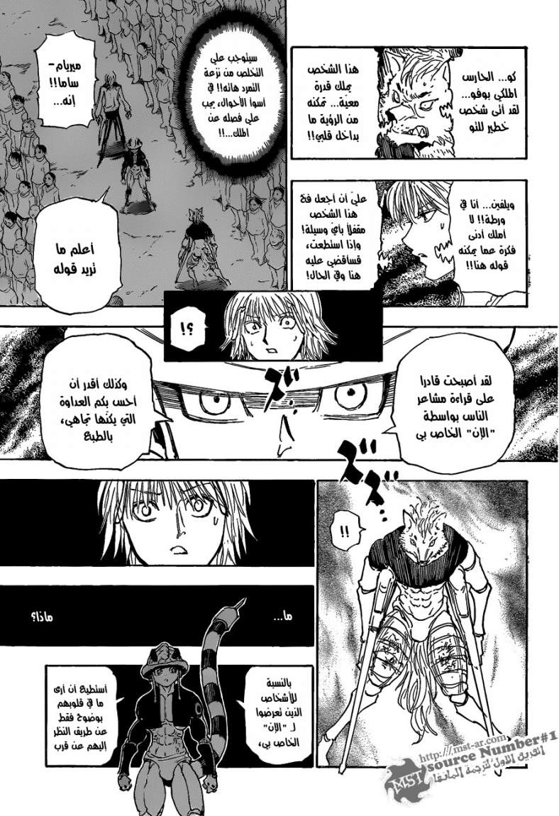 Hunter x Hunter: Chapter 312 - Page 9