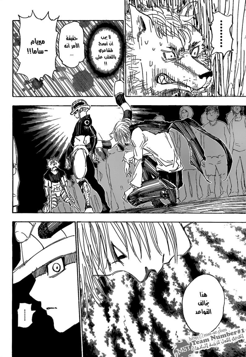 Hunter x Hunter: Chapter 312 - Page 12